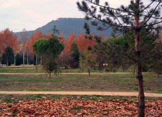 Últimos dias de otoño en El Arboreto de Alcalá de Henares