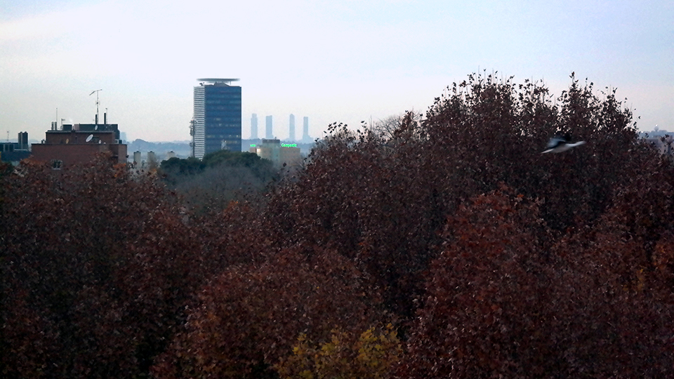 Vista de Torre Garena un atardecer de diciembre