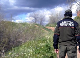 Agentes Forestales