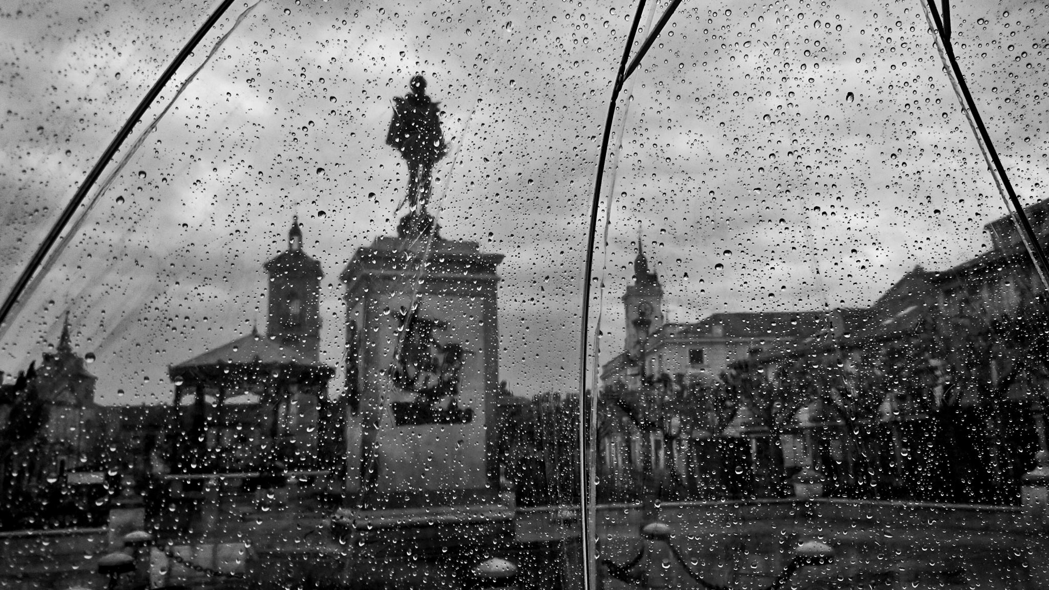 Lluvia por la Plaza de Cervantes