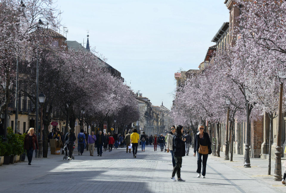 Los prunus ya florecen en la Calle Libreros